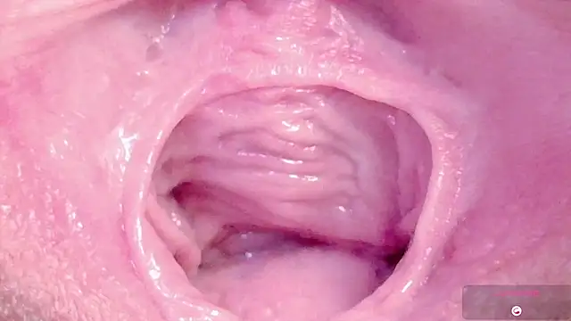 Alu ryu online show from 11, 3, 2026