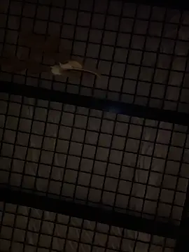 SexyB214 online show from 14, 12, 2024