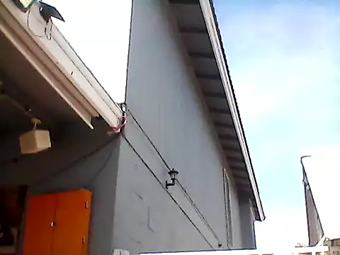 gorgeous11 online show from 19, 2, 2025