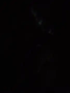 SassyAss Coco online show from 22, 4, 2026