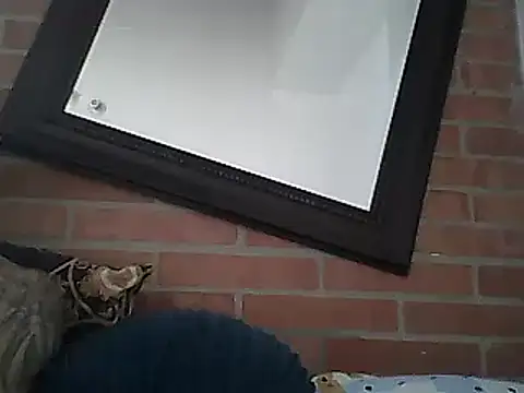 Snapshot of Skater29xx2 chatting on 15, 3, 2025 Skater29xx2 online show from 15, 3, 2025