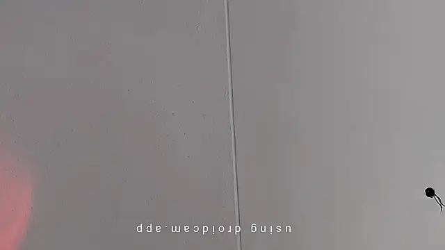 Pegg-fist-me online show from 10, 3, 2026