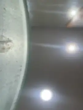 Snapshot of Mila_Morgan chatting on 23, 1, 2025 Mila Morgan online show from 23, 1, 2025