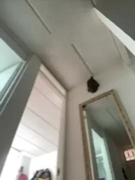 Snapshot of Mila_Morgan chatting on 27, 2, 2025 Mila Morgan online show from 27, 2, 2025