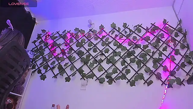 Pucaa  online show from 6, 2, 2025