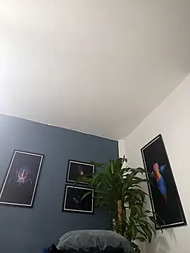 SilvaBranko online show from 19, 12, 2025