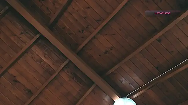 SilvaBranko online show from 2, 3, 2026