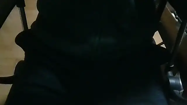 Snapshot of shibayam chatting on 8, 4, 2026 shibayam online show from 8, 4, 2026