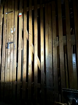 czruz online show from 20, 9, 2025