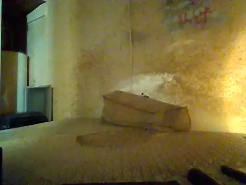 Nightshade7712 online show from 13, 9, 2025