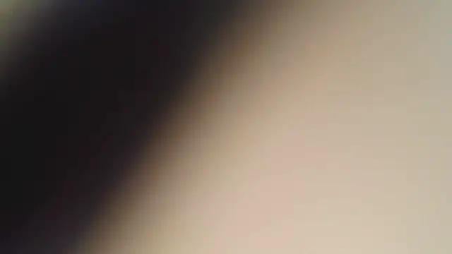 Mushroom83 online show from 2, 8, 2026