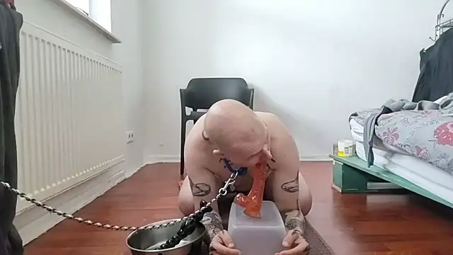 gaywolf426 online show from 14, 4, 2026