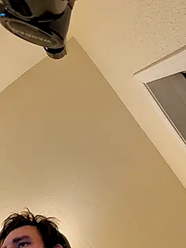 Armyexhibitionistvet online show from 9, 10, 2025