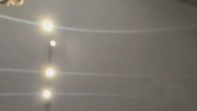 Armyexhibitionistvet online show from 26, 2, 2026