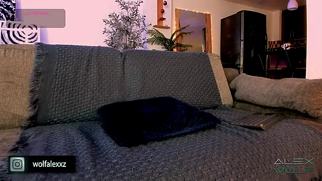 Snapshot of alex_wolf_ chatting on 8, 2, 2025 alex wolf online show from 8, 2, 2025