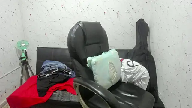  ace ventura online show from 15, 4, 2026