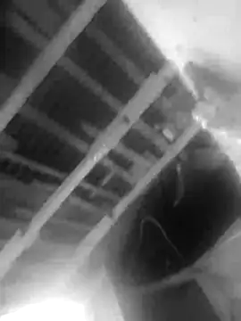 Jerryhottt online show from 20, 11, 2025