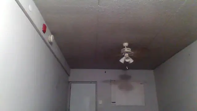 Snapshot of bigdick5157 chatting on 7, 10, 2025 bigdick5157 online show from 7, 10, 2025