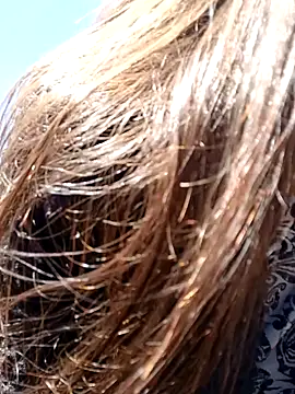 Violeta 12- online show from 11, 12, 2024