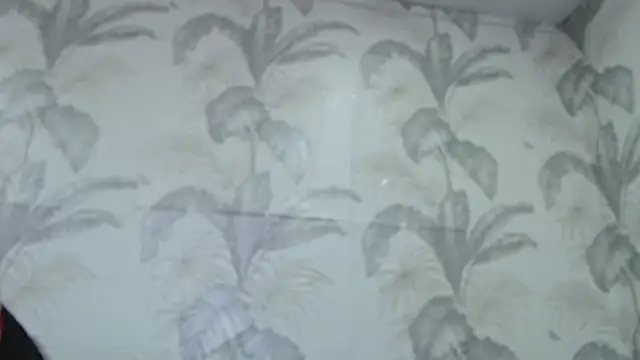 CamDiva113 online show from 8, 2, 2025