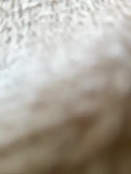 RiriRoseey online show from 5, 4, 2026