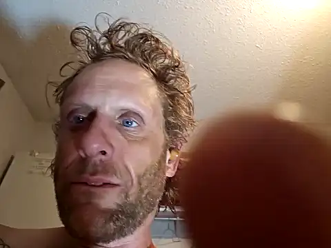 cal1983 online show from 24, 7, 2026