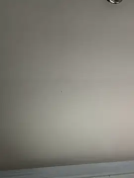 El Gizmo online show from 8, 1, 2025