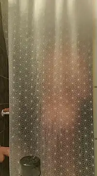 pachapeter online show from 13, 12, 2024