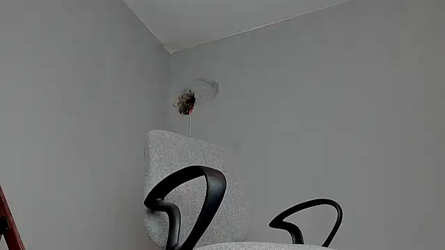 Master Mark Wayne online show from 16, 11, 2025