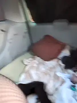 hotcd89 online show from 19, 4, 2026