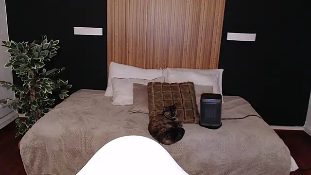 dafne bss online show from 6, 3, 2025