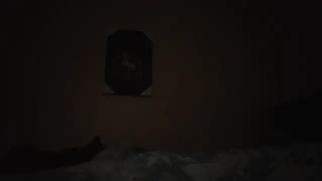 Snapshot of hailzeffn chatting on 13, 11, 2025 hailzeffn online show from 13, 11, 2025