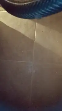 Snapshot of whitetrashdirtyslut chatting on 4, 12, 2025 whitetrashdirtyslut online show from 4, 12, 2025