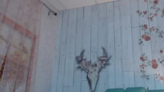 Alison Simmons online show from 5, 2, 2025