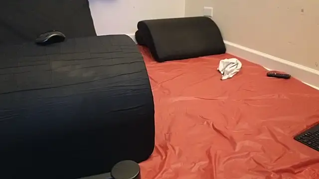 Snapshot of pantslesstraveler_plt chatting on 3, 2, 2025 pantslesstraveler plt online show from 3, 2, 2025