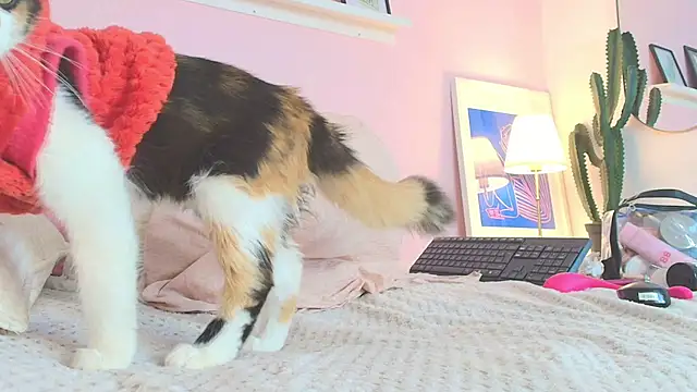 MARAFOX69 online show from 25, 2, 2025