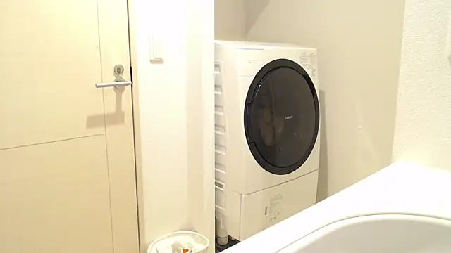 Kakushi dori online show from 16, 12, 2024