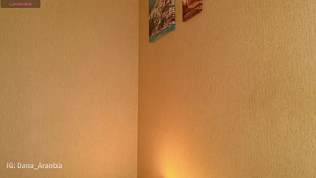 Snapshot of DanArant chatting on 11, 10, 2025 DanArant online show from 11, 10, 2025