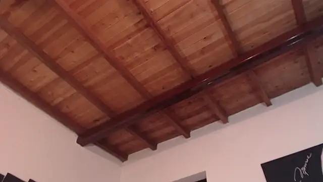 seleneh online show from 10, 3, 2025