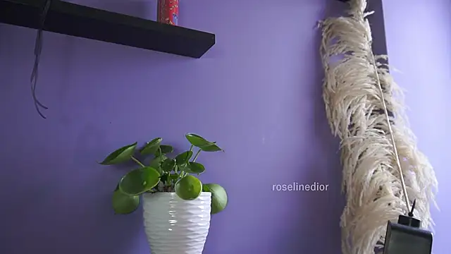 roselinedior online show from 20, 5, 2026