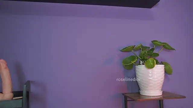 roselinedior online show from 26, 5, 2026