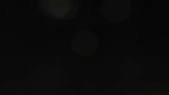 Bitch Coin online show from 17, 11, 2025