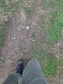 FreezingTie850 online show from 10, 4, 2026