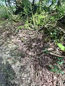 FreezingTie850 online show from 26, 4, 2026