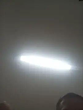 mauricinho69 online show from 3, 7, 2026