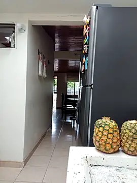 sebasxx97 online show from 8, 11, 2025