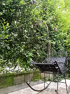 sebasxx97 online show from 17, 2, 2026