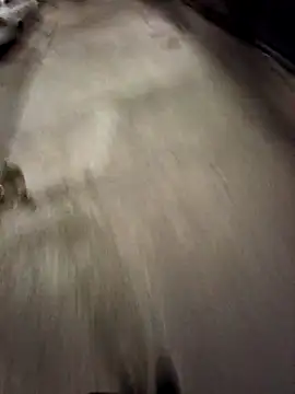 BandidodeAmores 84 online show from 19, 10, 2025