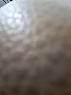 Snapshot of Kamarasa69 chatting on 18, 12, 2025 Kamarasa69 online show from 18, 12, 2025