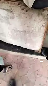 findmemylove online show from 22, 12, 2024